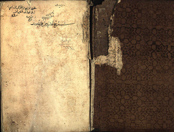 صورة مصغرة للعنصر