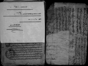 صورة مصغرة للعنصر