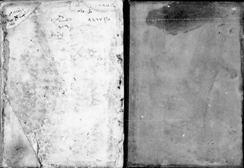 صورة مصغرة للعنصر