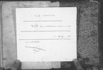 صورة مصغرة للعنصر