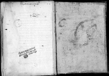 صورة مصغرة للعنصر