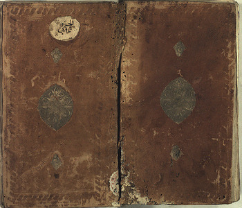 صورة مصغرة للعنصر