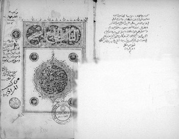 صورة مصغرة للعنصر