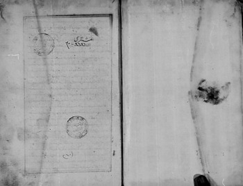 صورة مصغرة للعنصر