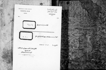 صورة مصغرة للعنصر