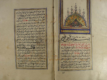 صورة مصغرة للعنصر