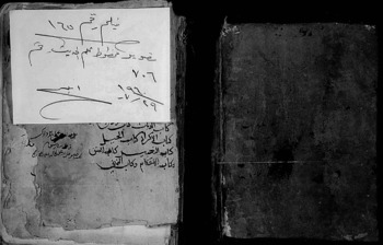 صورة مصغرة للعنصر