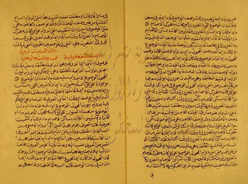 صورة مصغرة للعنصر