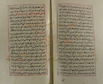 صورة مصغرة للعنصر