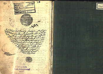 صورة مصغرة للعنصر