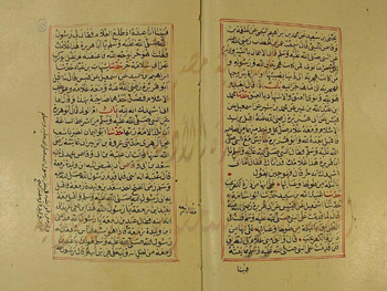 صورة مصغرة للعنصر