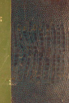 صورة مصغرة للعنصر