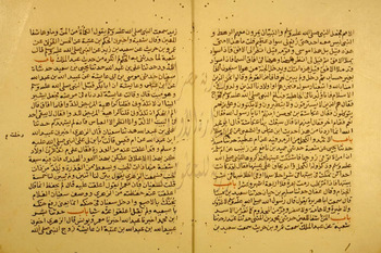 صورة مصغرة للعنصر