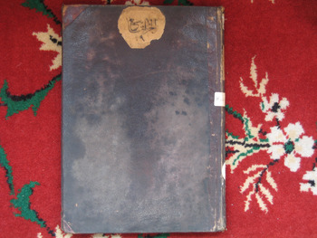 صورة مصغرة للعنصر