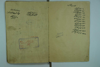 صورة مصغرة للعنصر