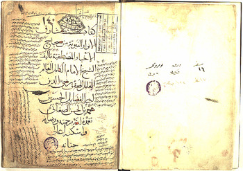 صورة مصغرة للعنصر