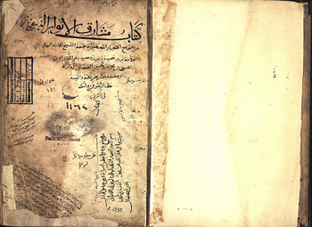 صورة مصغرة للعنصر