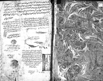 صورة مصغرة للعنصر