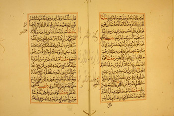 صورة مصغرة للعنصر