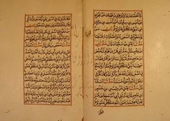 صورة مصغرة للعنصر