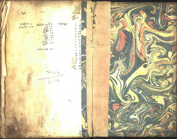 صورة مصغرة للعنصر