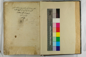 صورة مصغرة للعنصر