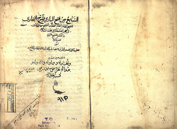 صورة مصغرة للعنصر