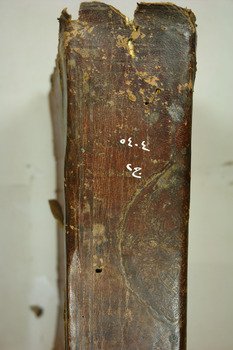 صورة مصغرة للعنصر