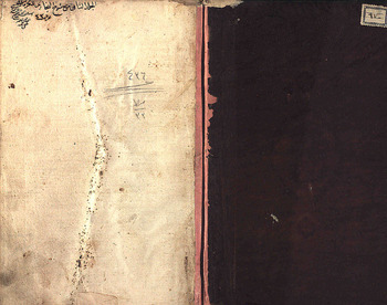 صورة مصغرة للعنصر