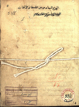 صورة مصغرة للعنصر