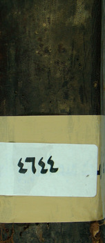 صورة مصغرة للعنصر