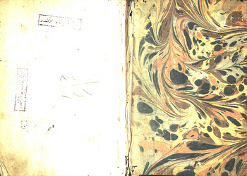 صورة مصغرة للعنصر