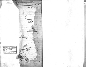 صورة مصغرة للعنصر