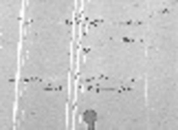 صورة مصغرة للعنصر