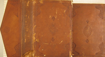 صورة مصغرة للعنصر