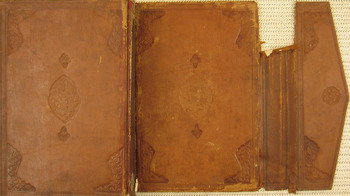 صورة مصغرة للعنصر