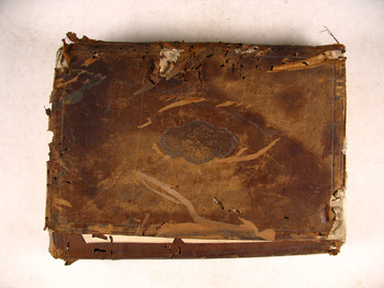 صورة مصغرة للعنصر