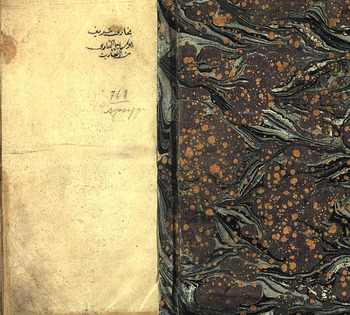 صورة مصغرة للعنصر