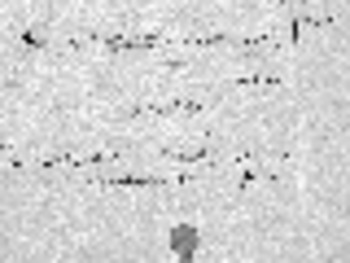 صورة مصغرة للعنصر