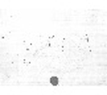 صورة مصغرة للعنصر