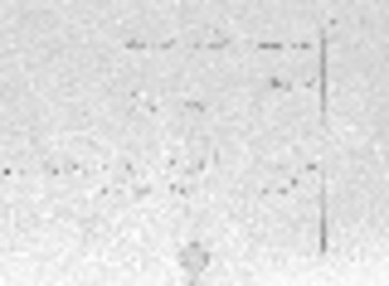 صورة مصغرة للعنصر