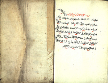 صورة مصغرة للعنصر