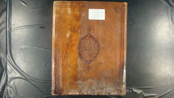 صورة مصغرة للعنصر