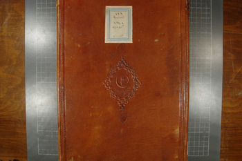 صورة مصغرة للعنصر