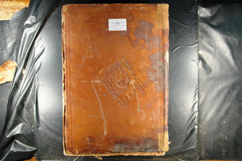 صورة مصغرة للعنصر