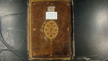 صورة مصغرة للعنصر