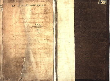 صورة مصغرة للعنصر