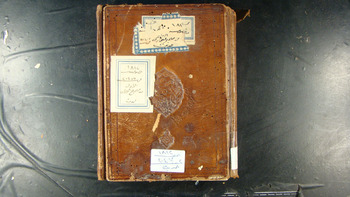 صورة مصغرة للعنصر