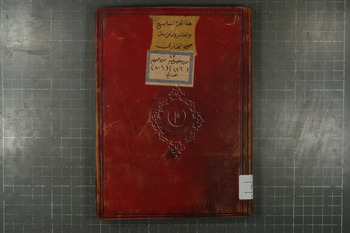 صورة مصغرة للعنصر