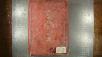 صورة مصغرة للعنصر